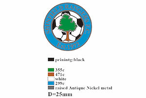Cloisonne with print pin badge sample 4