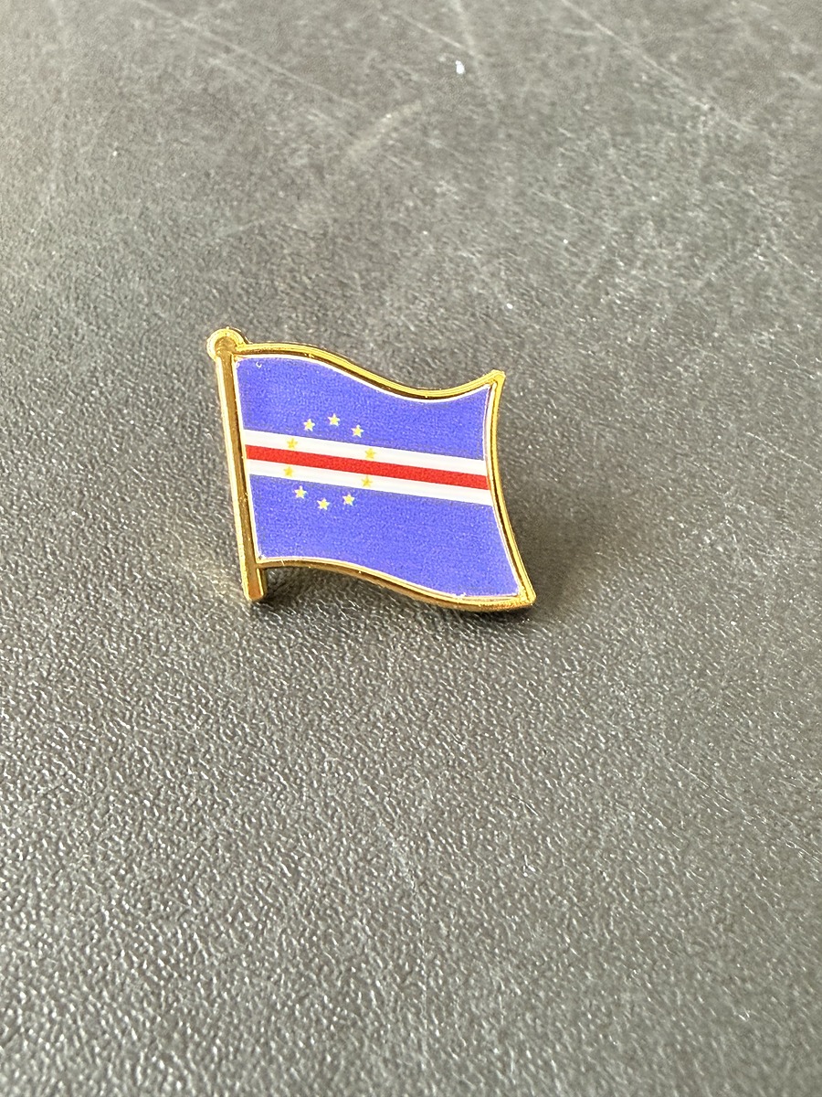 Flag pin badge sample 12