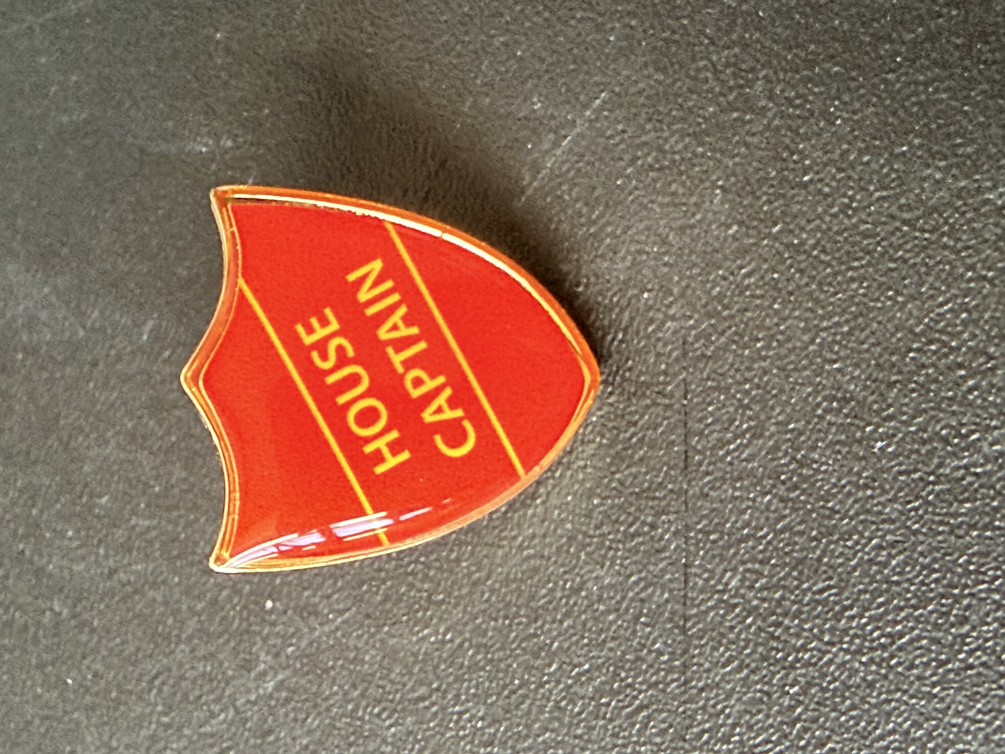 Standard shape pin badge sample 12